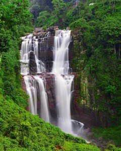 Travel Sri Lanka (3)
